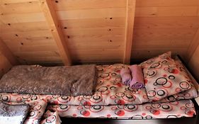 Log - Cabin Hope